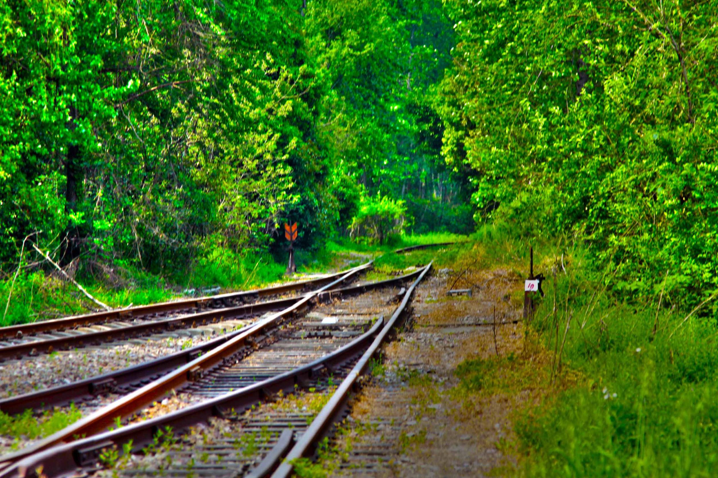 我省今年年內(nèi)有4條鐵路線投入運營更多出行選擇！