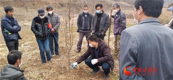 【甘肅全民戰(zhàn)“疫”】隴南徽縣：花椒田里培訓忙，戰(zhàn)疫春耕兩不誤