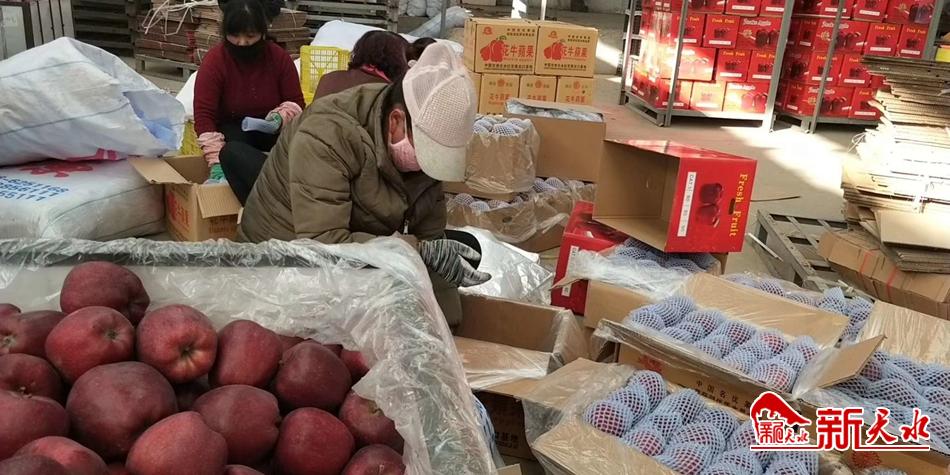 天水“花?！弊罱悬c(diǎn)“?！?>
        </a><em>天水“花牛”最近有點(diǎn)“?！?/em></li>
    <li><a  target=