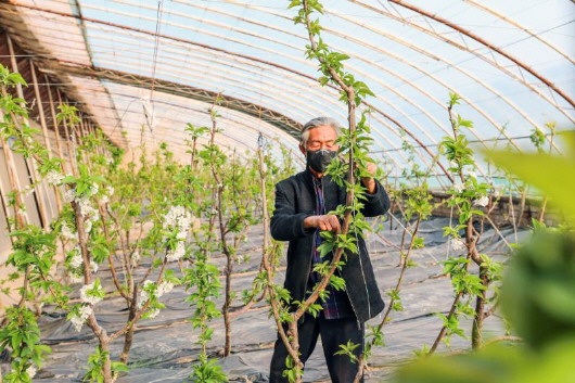 銅城復(fù)蘇：春光明媚，邀你共賞芳華（組圖）