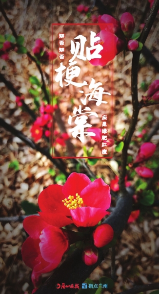 來(lái)，跟這些美美的花朵認(rèn)識(shí)一下！