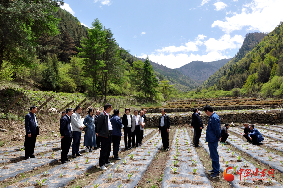白龍江博峪河保護局開展產(chǎn)業(yè)發(fā)展、義務(wù)勞動成果現(xiàn)場觀摩交流活動