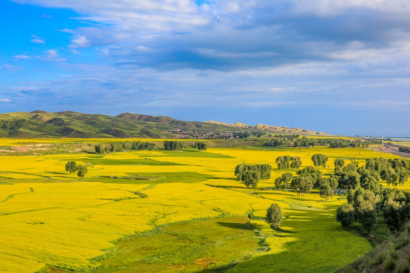 創(chuàng)意海報丨甘肅的美，你來了才知道