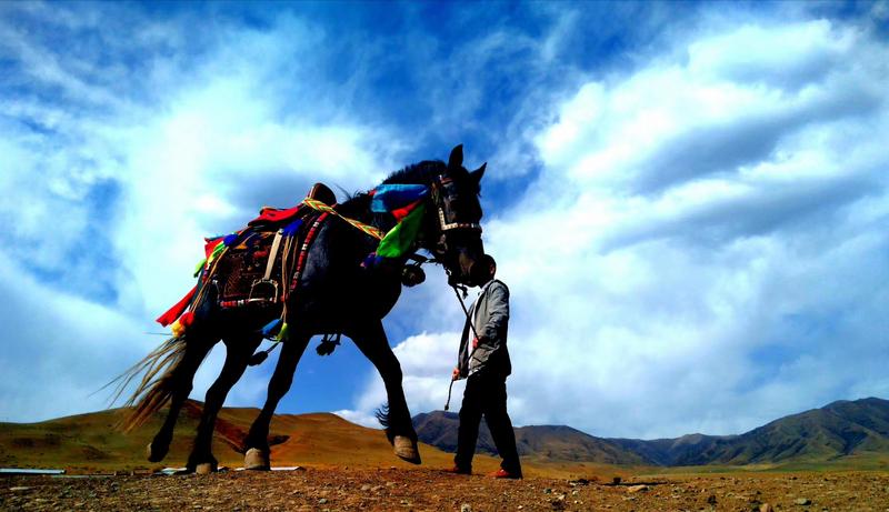 好消息！天祝被命名為“中國(guó)高原走馬之鄉(xiāng)”