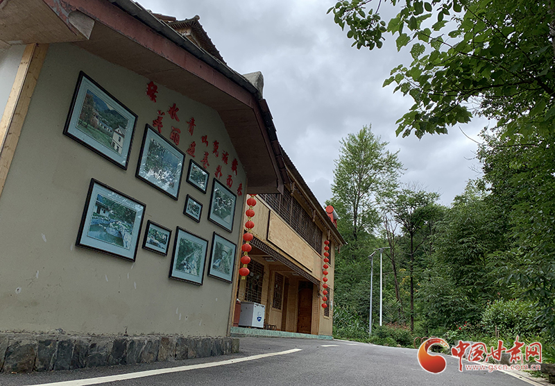 【走向我們的小康生活】村美、業(yè)興、民富……康縣何家莊描繪鄉(xiāng)村振興新畫卷（圖）