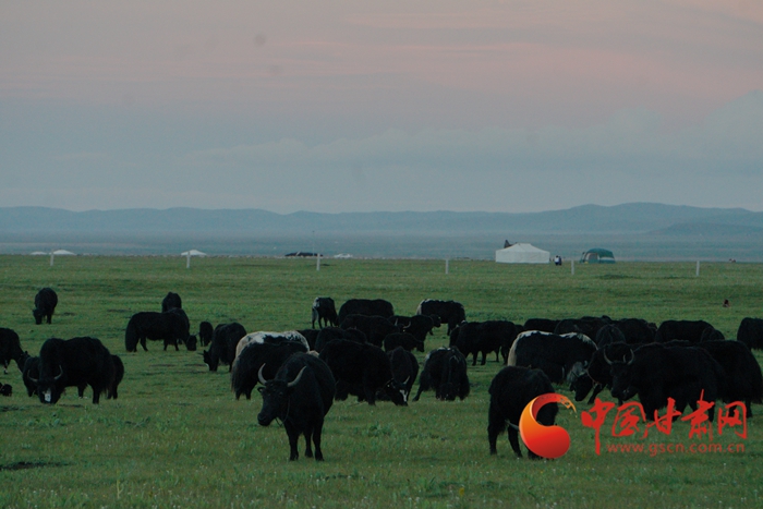 【蘭大新聞學(xué)子重走西北角】甘南牧區(qū)：保護好生態(tài) 讓子孫后代也享受綠水青山  