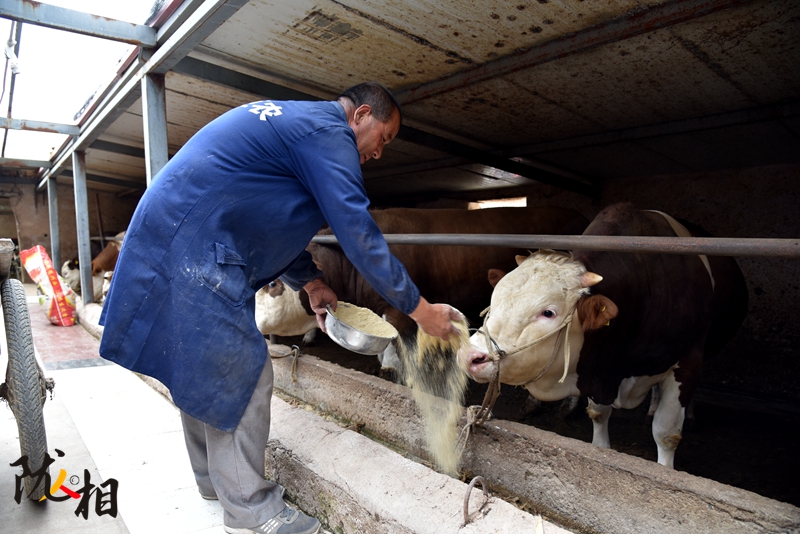 【隴人相】脫貧路上的實(shí)干家——“?！比笋R占清