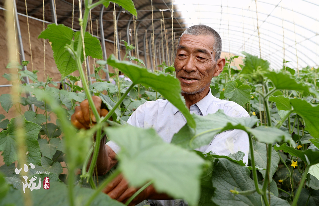 【小隴畫報(bào)·100期】筑夢(mèng)黃花灘：老照片里映過(guò)往 新生活中蘊(yùn)未來(lái)
