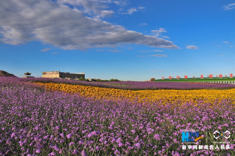 【“飛閱”中國(guó)】鳳凰花?！罢钩帷钡は伎?>
        </a><em>【“飛閱”中國(guó)】鳳凰花?！罢钩帷钡は伎?/em></li>
    <li><a  target=