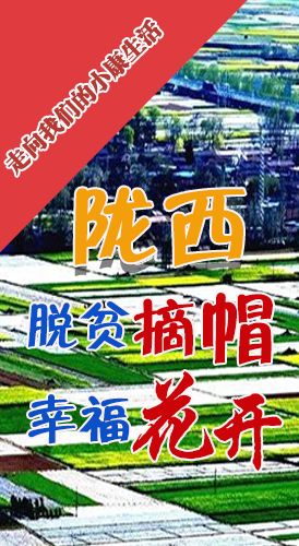 【走向我們的小康生活】長(zhǎng)圖|隴西：脫貧摘帽 幸福花開