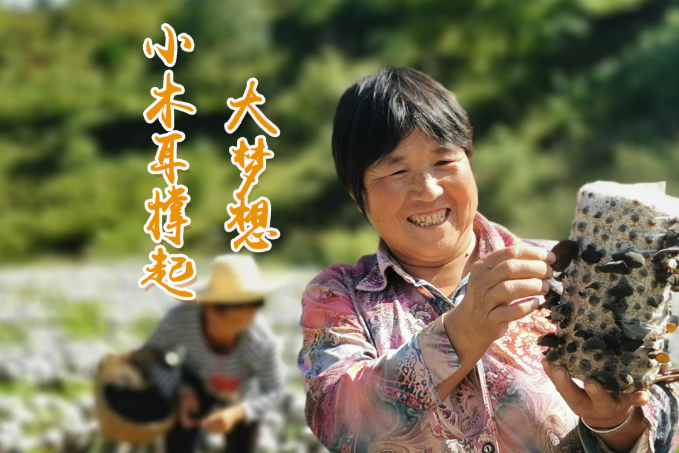 海報(bào)丨他們，乘“豐”破浪！