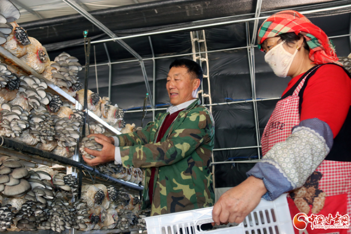 【十年巨變 看新區(qū)成就】以高科技手段打造現代農業(yè)示范園