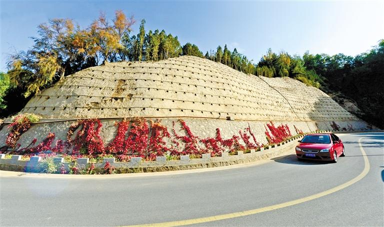 近90度陡坡上種樹！蘭州南北兩山綠化出新招