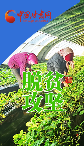 圖解|關(guān)于脫貧攻堅 書記省長這樣強(qiáng)調(diào)