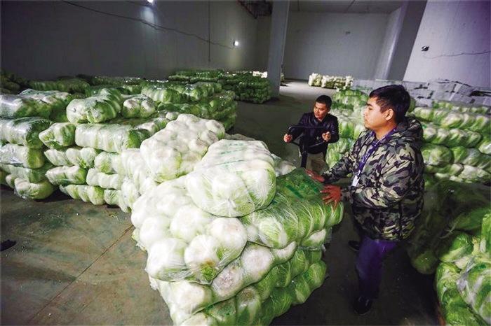 蘭州市已儲備1萬噸冬春蔬菜以耐貯存、易周轉(zhuǎn)品種為主