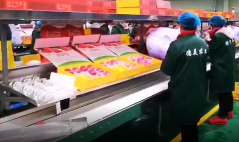 【獨(dú)家視頻】快訊丨甘肅省委副書記、代省長任振鶴在靜寧縣調(diào)研蘋果產(chǎn)業(yè)發(fā)展