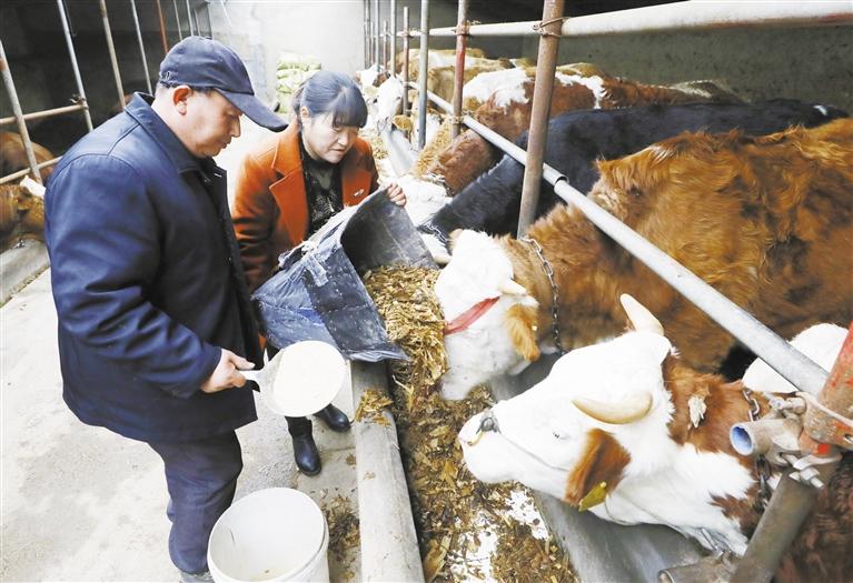 我和我的家鄉(xiāng)丨定西臨洮縣黨家墩村：“?！碑a(chǎn)業(yè)帶來(lái)“?！比兆?>
        </a><em>我和我的家鄉(xiāng)丨定西臨洮縣黨家墩村：“?！碑a(chǎn)業(yè)帶來(lái)“?！比兆?/em></li>
    <li><a  target=