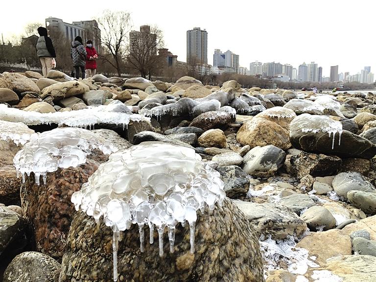 蘭州：水母上河灘？