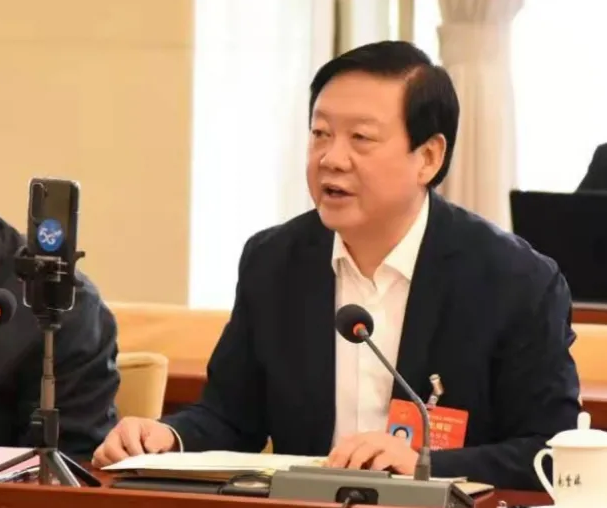 【聚焦2021全國兩會】全國人大代表、市委書記楊維俊接受中國日報記者采訪