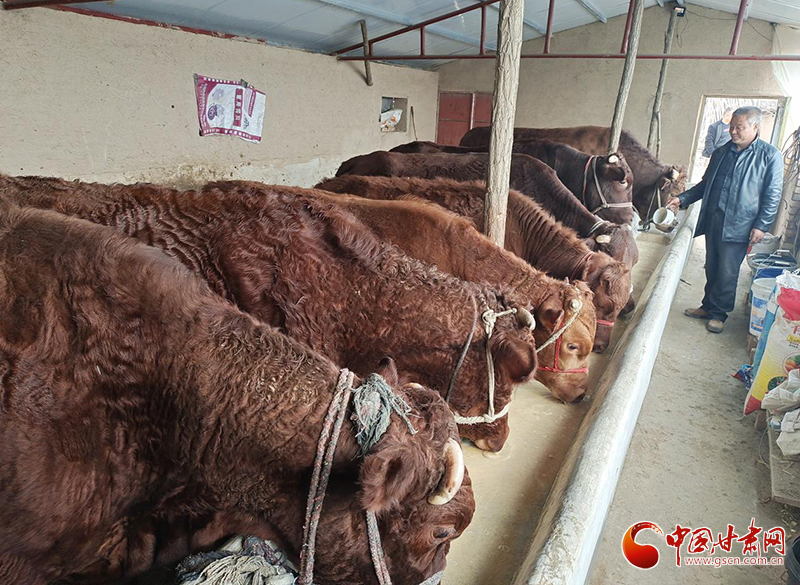 平?jīng)鰶艽ǎ骸芭！碑a(chǎn)業(yè)鋪就致富路