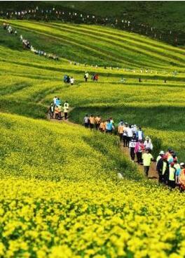 甘肅明確農(nóng)民進城落戶:不以退出承包地、林地等為條件