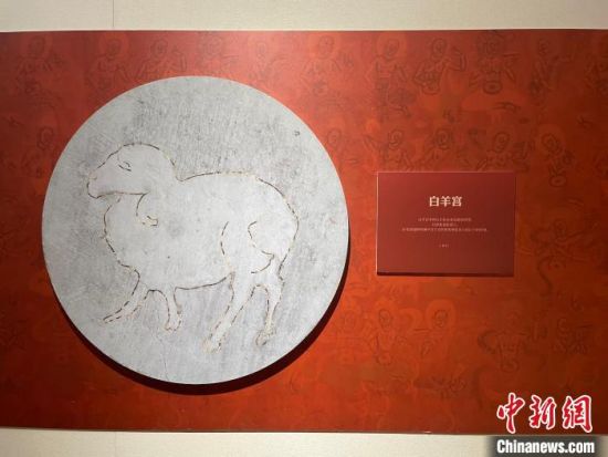 圖為展覽現(xiàn)場。　江楊燁 攝