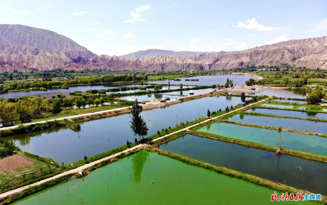 一秒入畫！太極島濕地風(fēng)光秀麗