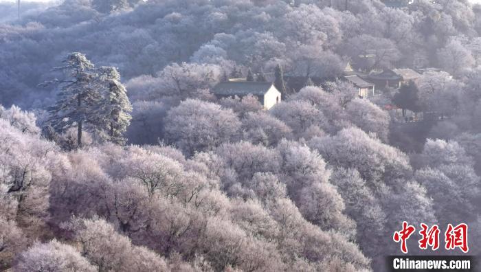 圖為霧凇美景。　徐振華 攝