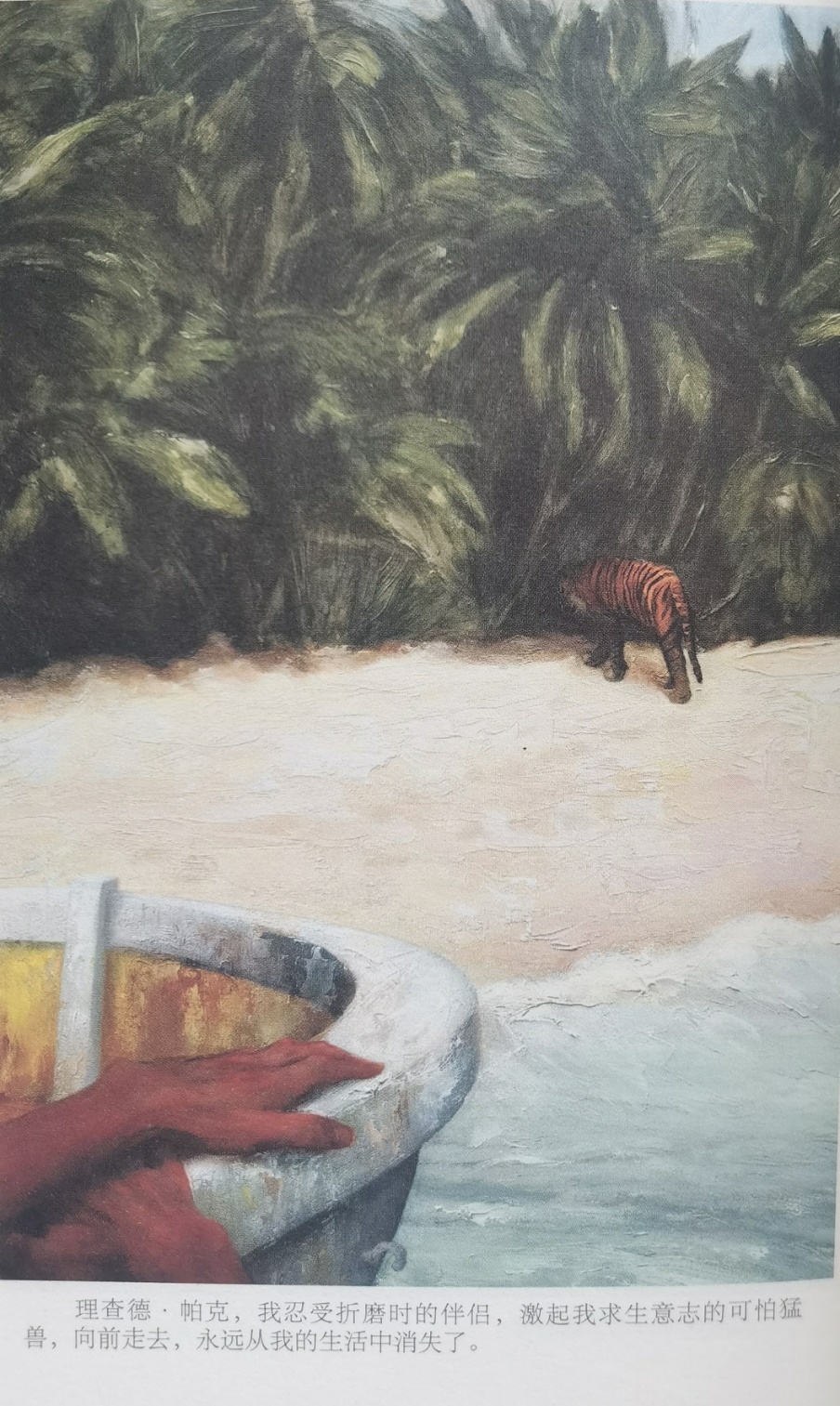 插圖3：揚(yáng)？馬特爾的小說《少年pi的奇幻漂流》插圖