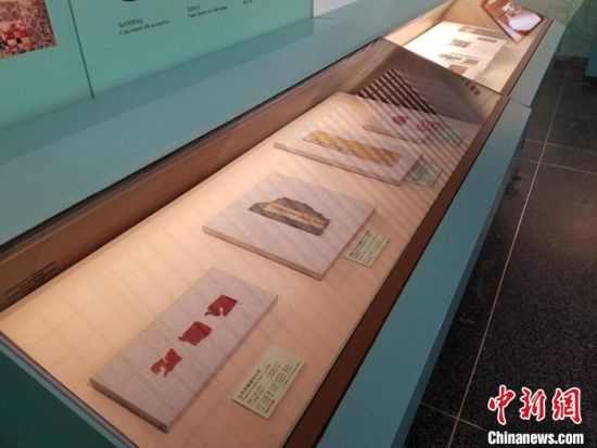 圖為展覽現(xiàn)場。　敦煌研究院供圖