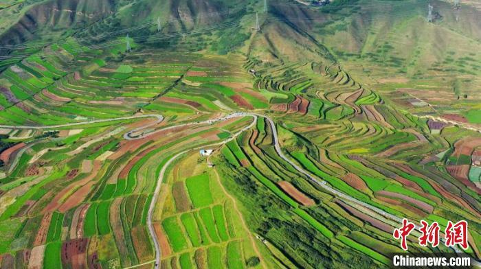 秋日里，榆中縣馬坡鄉(xiāng)千畝梯田，不同農(nóng)作物漸趨成熟，呈現(xiàn)出多種色彩，宛若大地的“調(diào)色盤”?！圆?攝