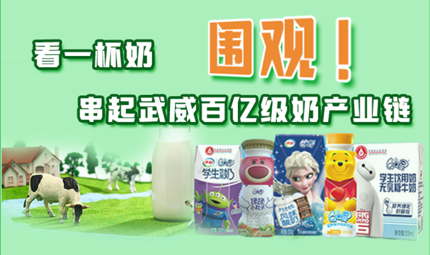 圖解|圍觀！看一杯奶串起武威百億級奶產(chǎn)業(yè)鏈