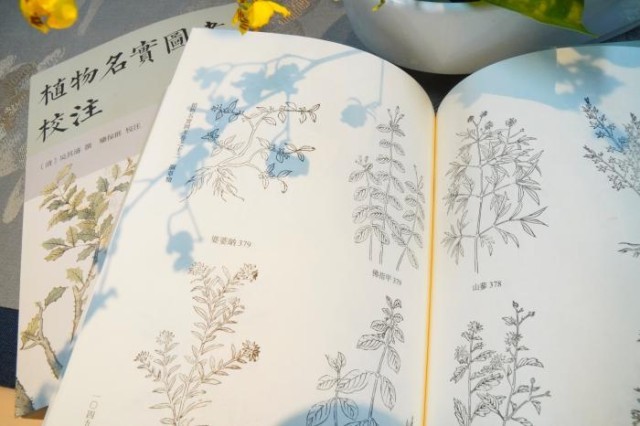 《植物名實(shí)圖考校注》內(nèi)頁。圖片來源：中華書局供圖