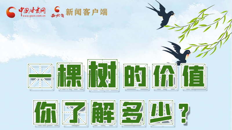 圖解|一棵樹的價值你了解多少?來看！