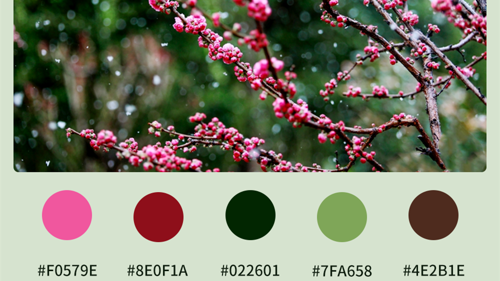 微海報|收藏！色卡里的春日甘肅