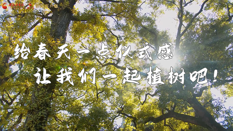 短視頻|給春天一點(diǎn)儀式感，讓我們一起植樹吧！
