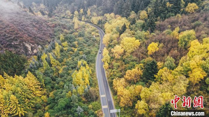 深秋，航拍位于蘭州市榆中縣的興隆山，景色如畫。金峯 攝</p>
<p>