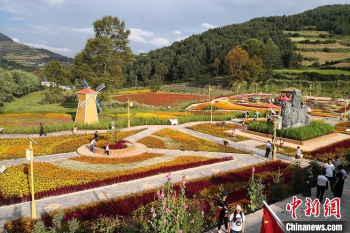 圖為航拍甘肅甘南臨潭縣八角鎮(zhèn)，花海吸引游人。(資料圖)高展 攝