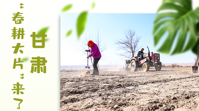 【甘快看】海報|瞧！甘肅“春耕大片”來了