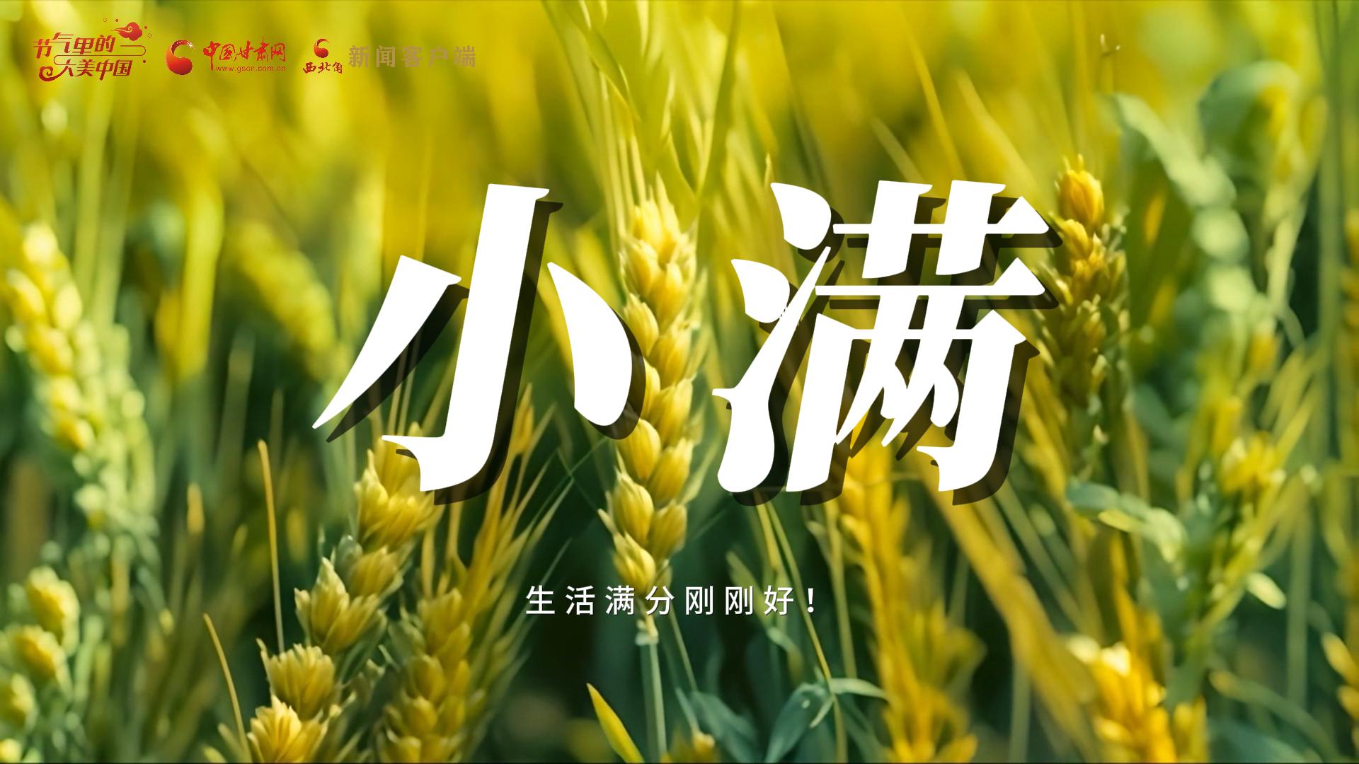 【節(jié)氣里的大美甘肅·小滿】生活滿分剛剛好！