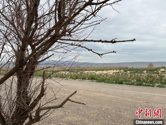 圖為位于長城墻體上的“馬面”或“敵臺”?！〈魑牟?攝