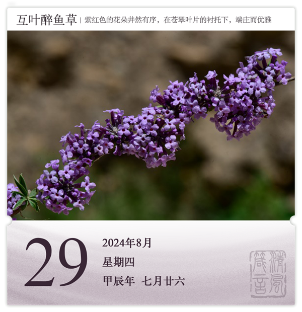 1722582498471524.png 箴歷日歷8-29.png