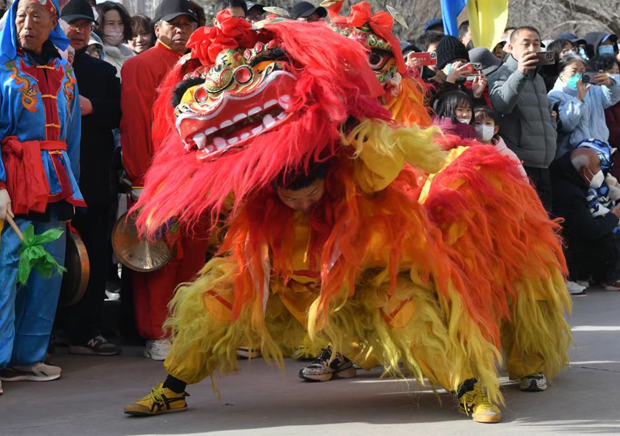 蘭州北獅表演現(xiàn)場。受訪者供圖